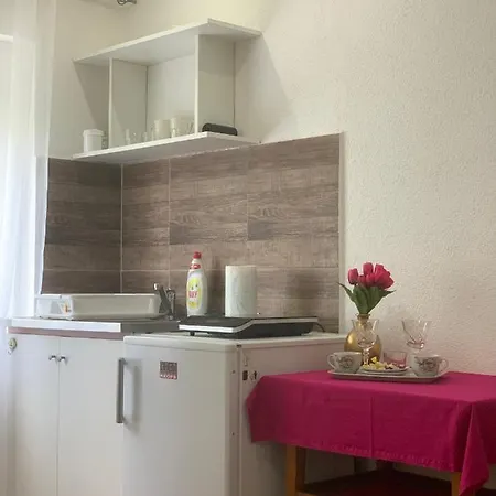 Vlajkovic Apartment