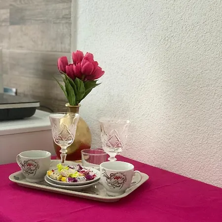 Vlajkovic Апартаменты *