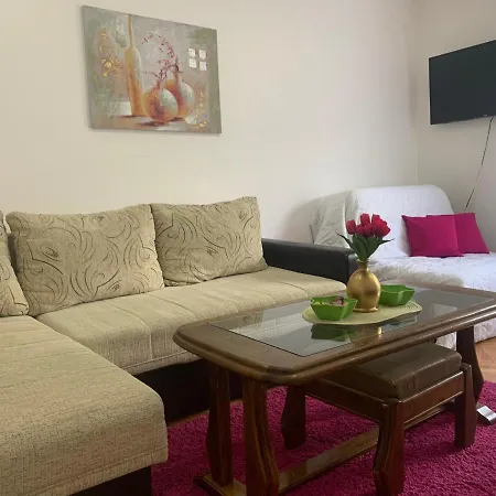 Apartment Vlajkovic *