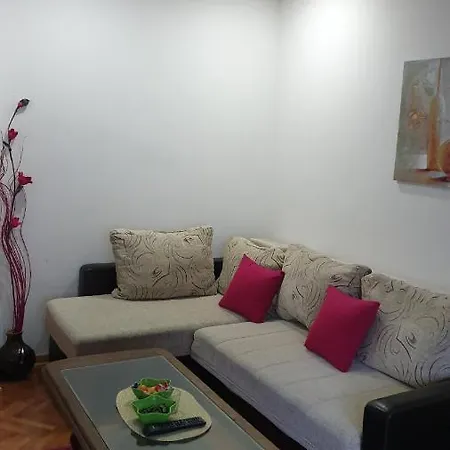 Apartment Vlajkovic *