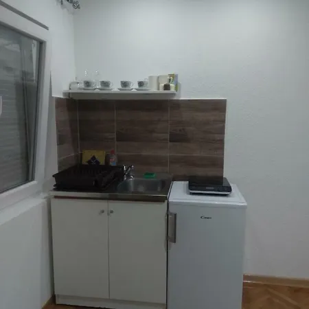Vlajkovic Apartment Vrnjacka Banja