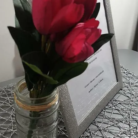 アパート Vlajkovic Vrnjačka Banja